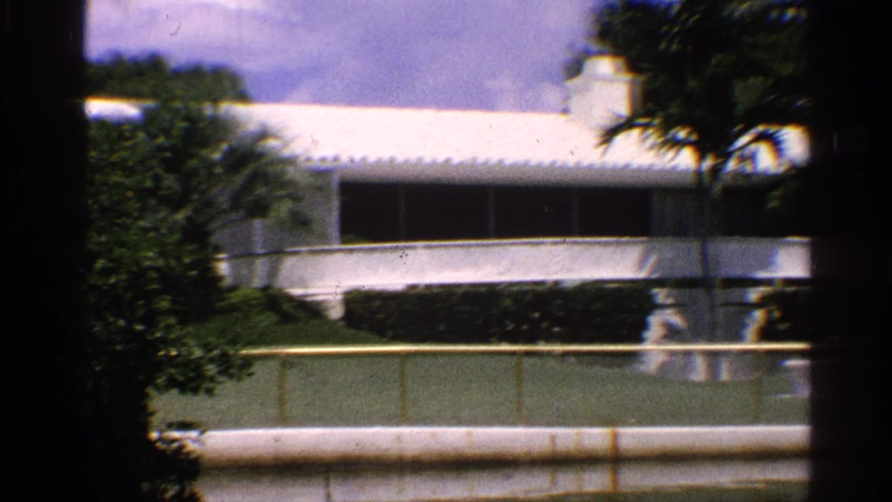 White modernist building behind trees and a low wall in bright sun.