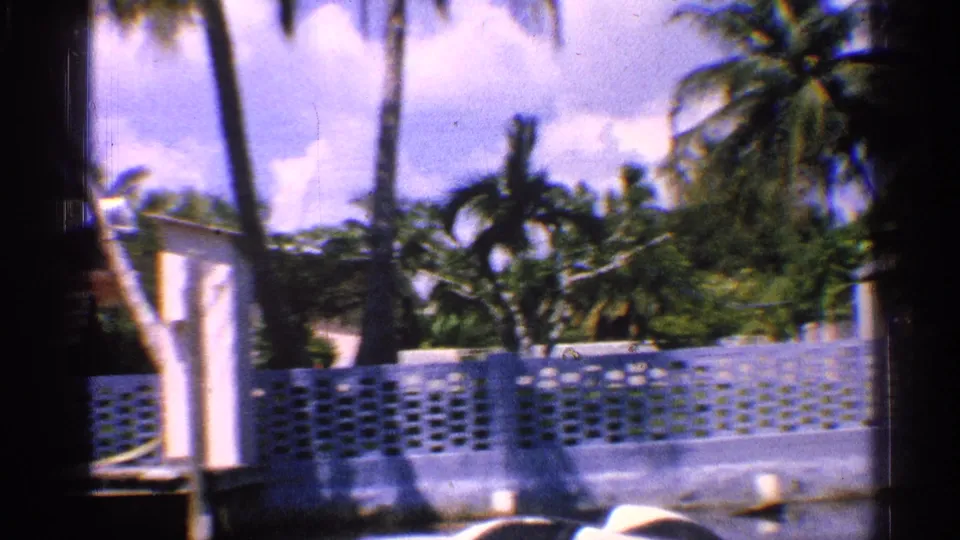 1959 California 8mm frame showing palms, a blue patterned wall, dock or waterfront edge, and neighboring buildings in sun.