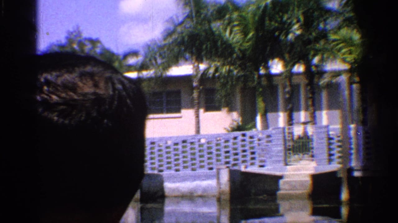 Partial head silhouette in front of a waterfront house with palms and white fencing.