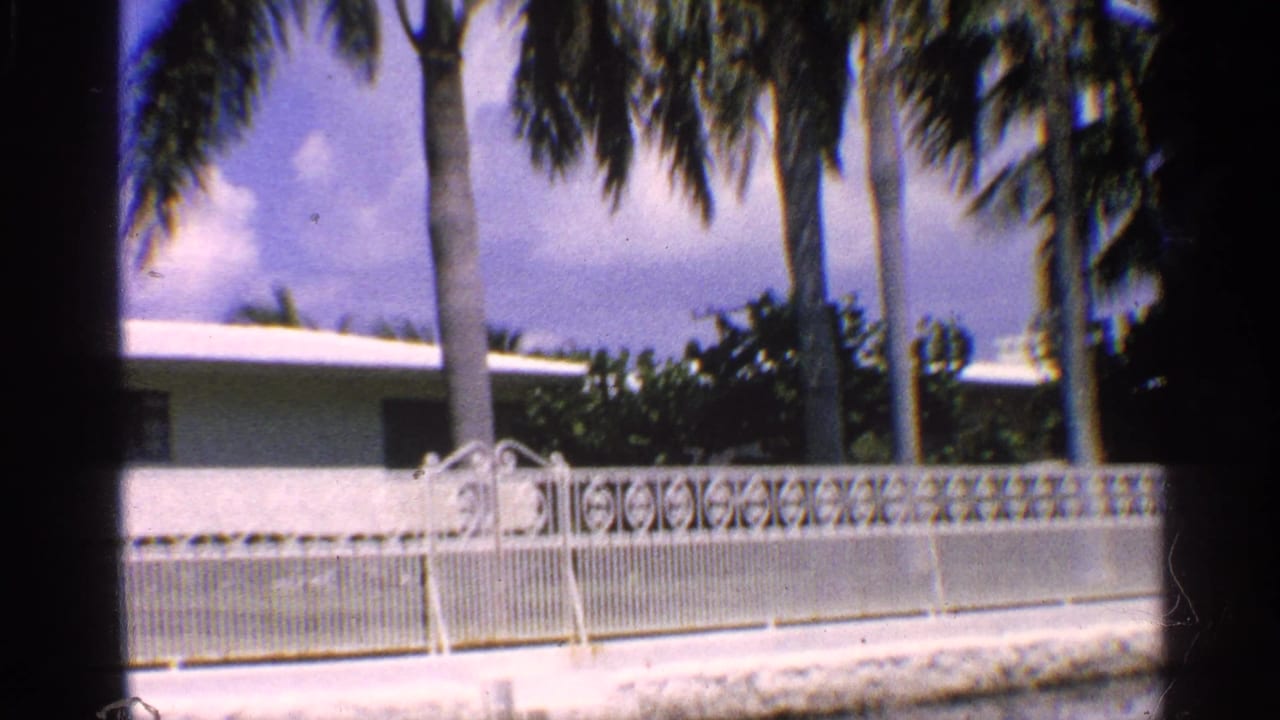 White flat-roof house behind palms and a decorative fence, seen through dark window framing.