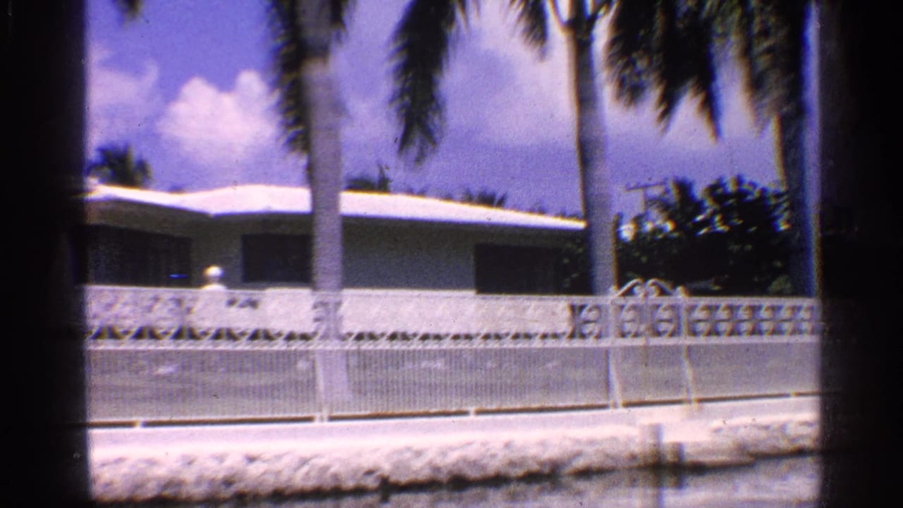 Palm trunks and a white house roofline behind a patterned wall and metal fence.