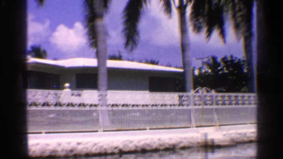 Passing 1959 California exterior with palm trunks, a white flat-roof house, patterned concrete wall, and roadside metal fencing.