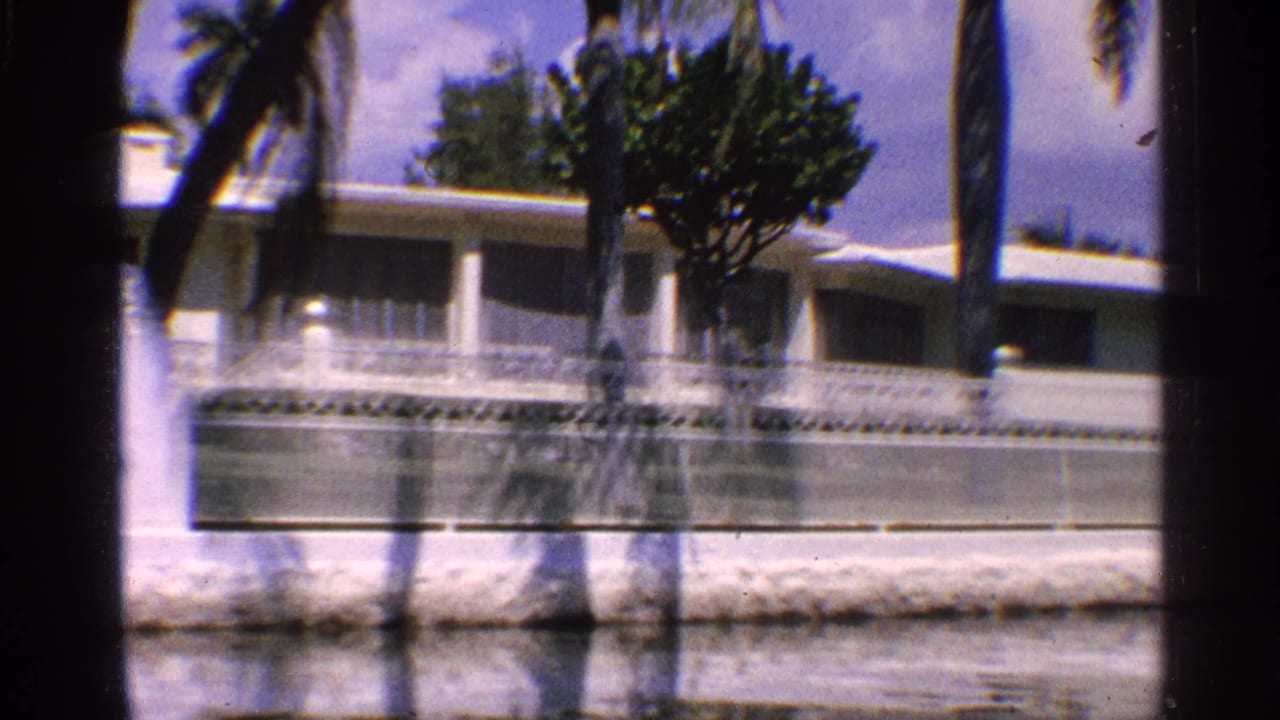 White waterfront house behind palms, seen across calm water.