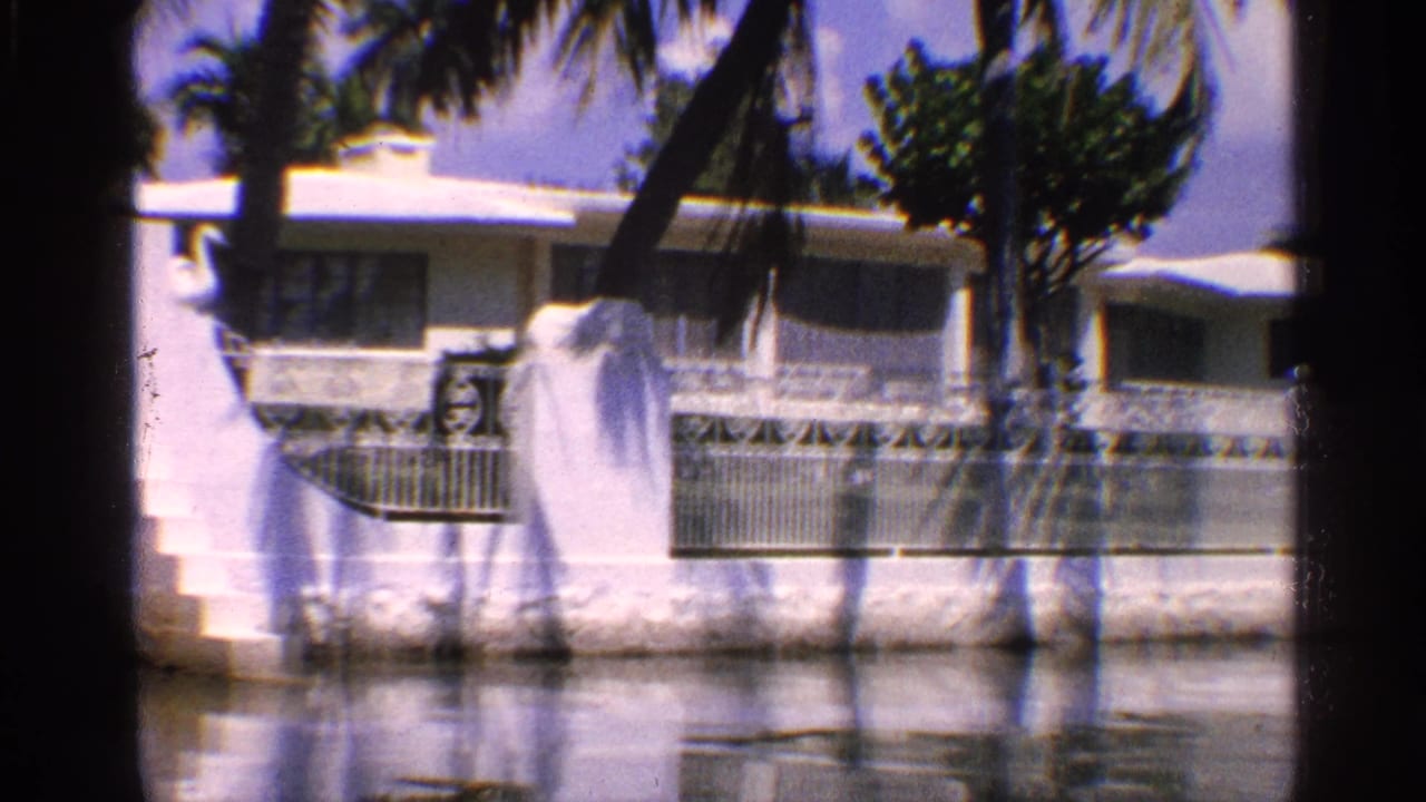 White house with palm tree, railing, and seawall along the water.