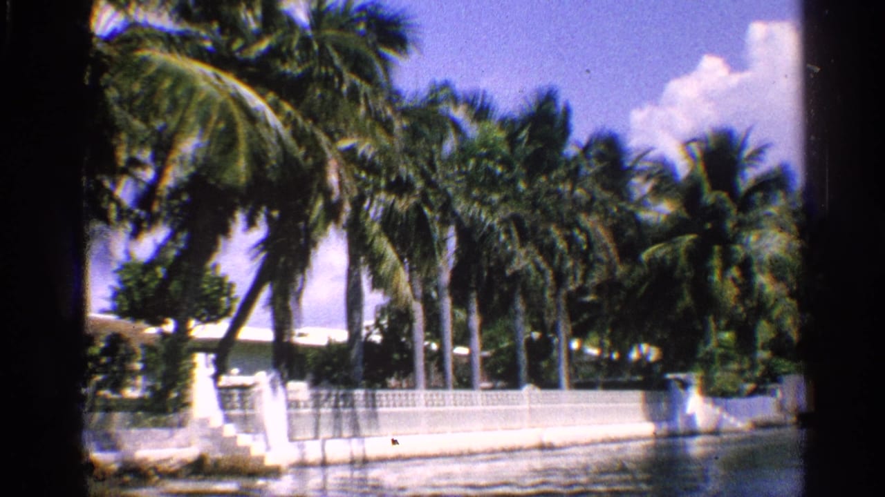 Palm-lined waterfront with white wall and steps beside calm water.
