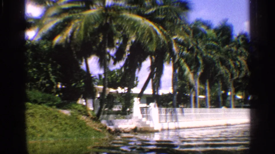 1959 California home-movie frame with palms, shoreline greenery, a white wall, and rippling water in the foreground.