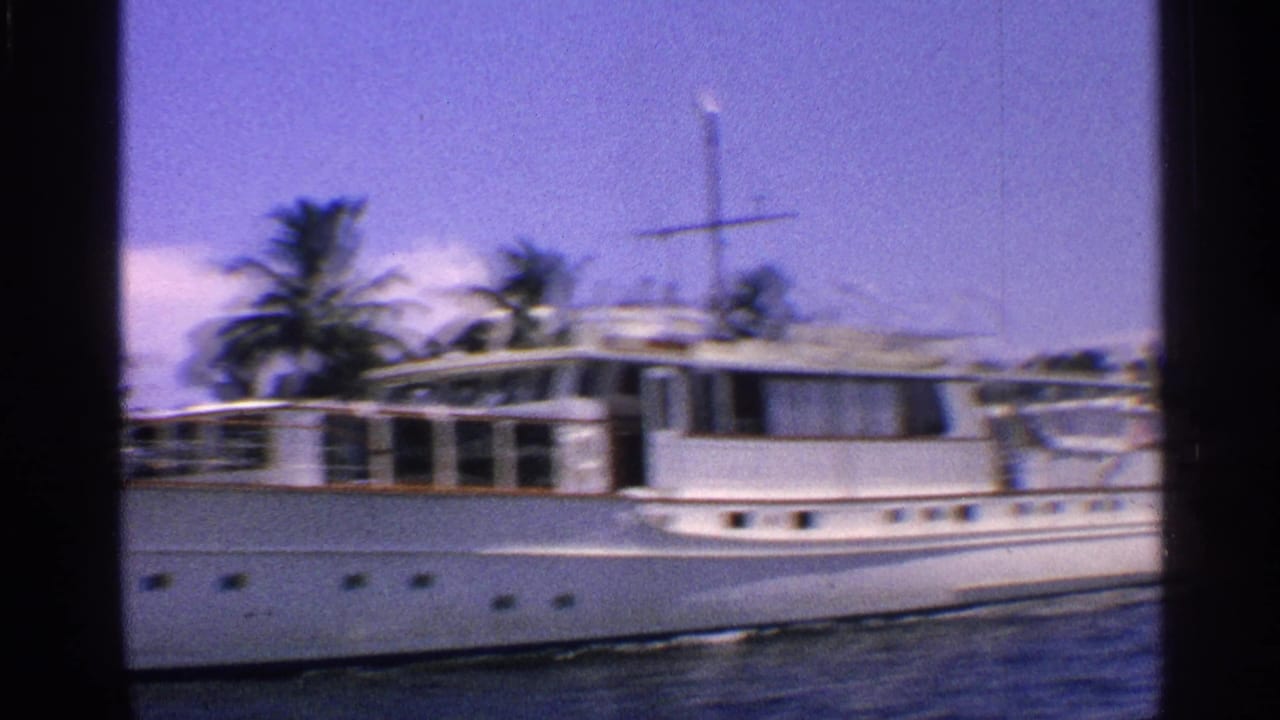 White motor yacht moving on blue water beside palm trees under a sunny sky.