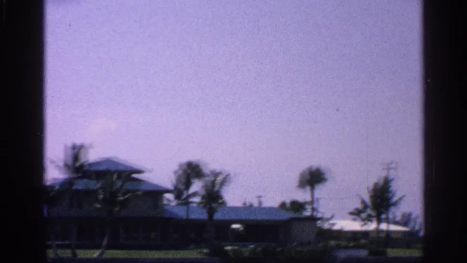 1959 Florida coastal view with palms, low waterfront buildings, and a small roofed tower seen from across the water.