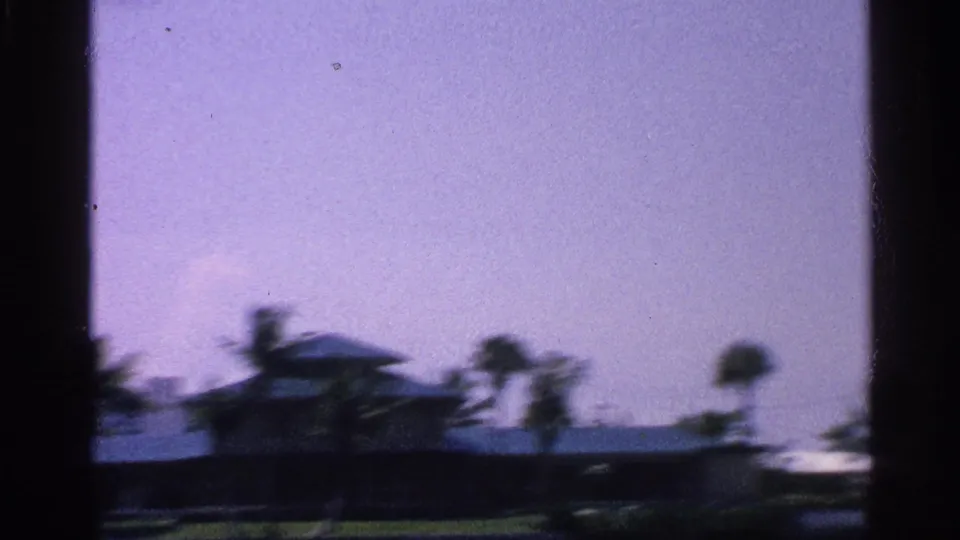 Motion-blurred 1959 Florida home-movie frame showing palm trees and low waterfront structures during a quick pan.