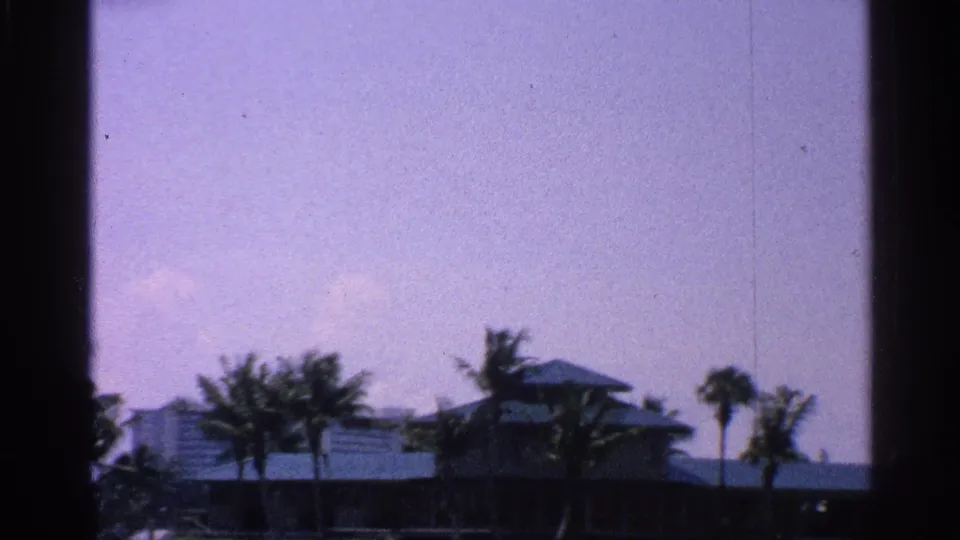 1959 Florida waterfront frame with palm trees, low buildings, and a small tower-like roofline under a bright sky.