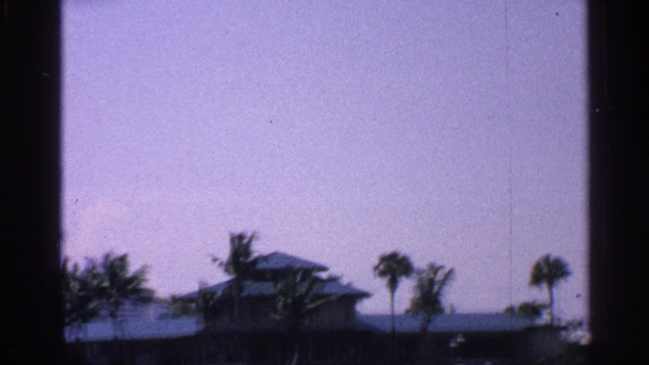 1959 Florida home-movie frame showing a hazy distant waterfront scene with palms, rooflines, and bright sky.