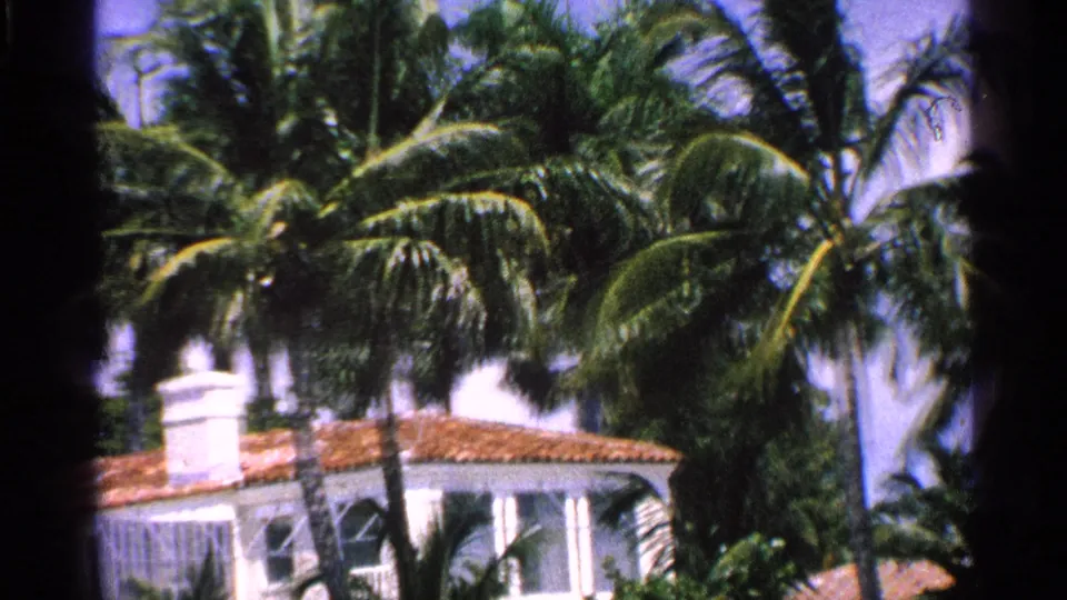 1959 Florida exterior detail showing palms over a white residence with red-orange tiled roof and shaded architectural trim.