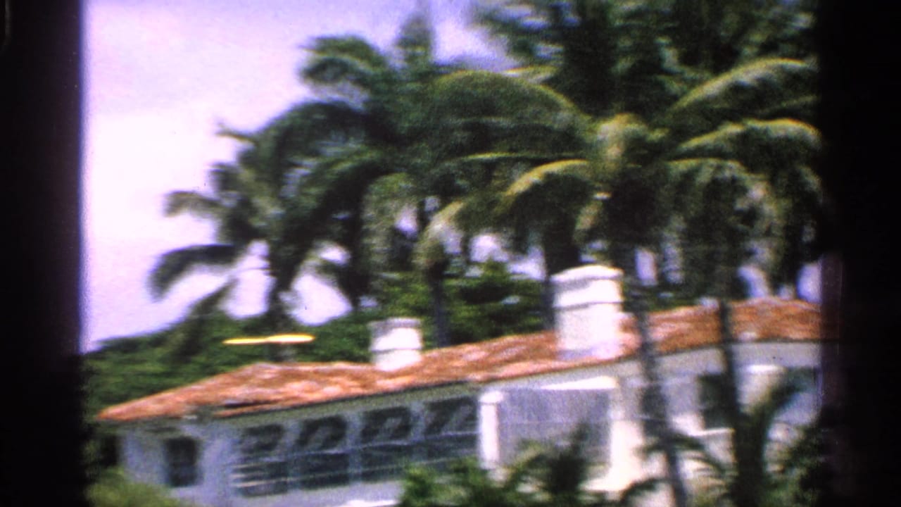White stucco house with terracotta roof partly hidden by palms and dark film gate edge.