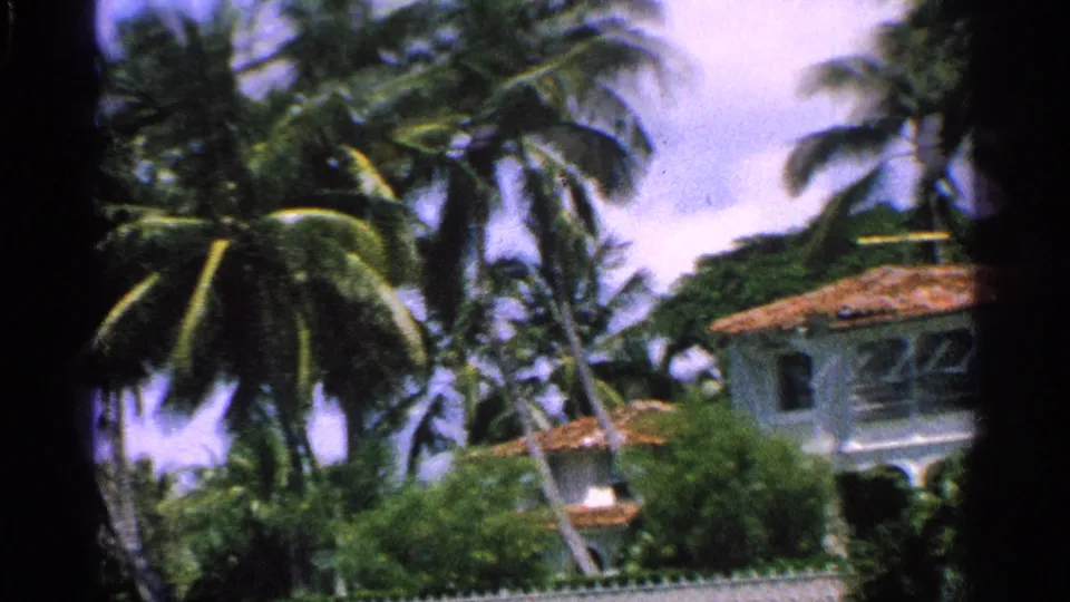 1959 Florida home-movie frame with tall palms and lush greenery surrounding a white house with a terracotta roof.
