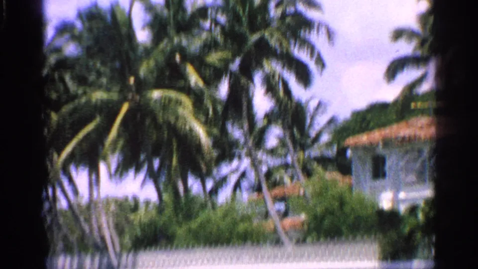 1959 Florida 8mm frame showing palms, a white fence, and a partially visible stucco house behind tropical landscaping.