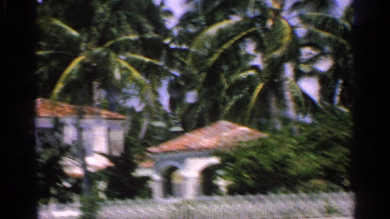 Palm trees and a white stucco house with a terracotta roof seen from a moving vehicle.