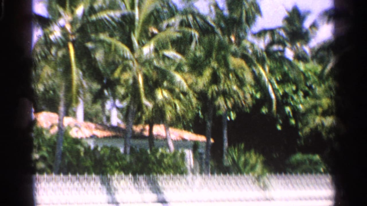 Palm-lined homes with terracotta roofs behind a pale fence and greenery.
