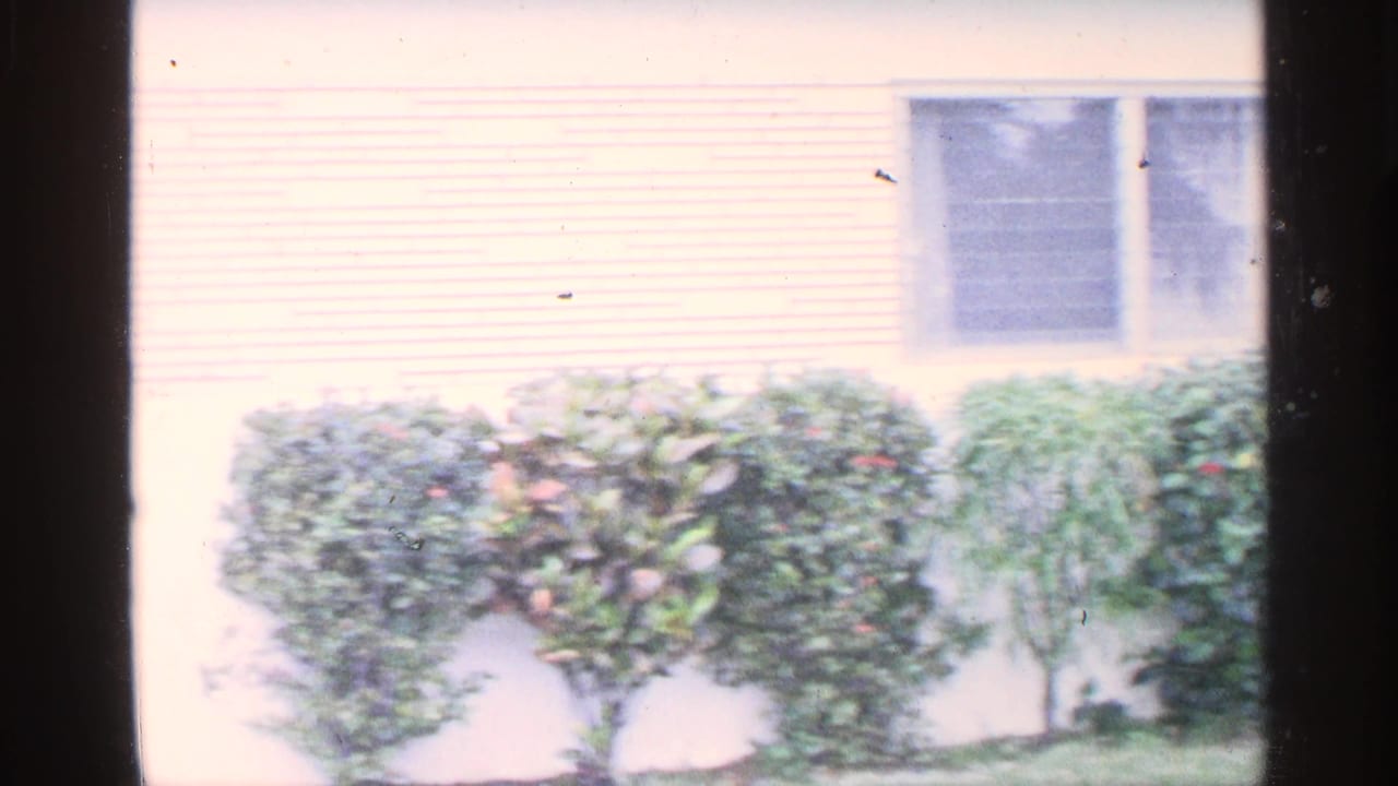 Light-colored house exterior with trimmed hedges and screened windows.