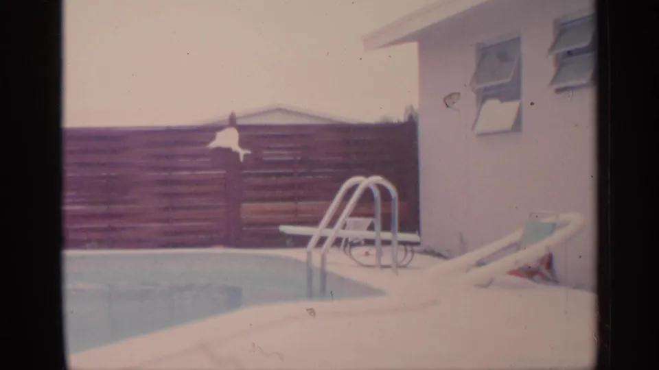 1959 Florida backyard pool scene with pale water, wooden fence, metal ladder, diving board, lounge chair, and house windows.