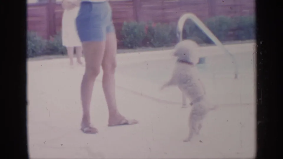 1959 Florida home-movie frame showing a woman by a backyard pool while a small dog jumps near her legs.