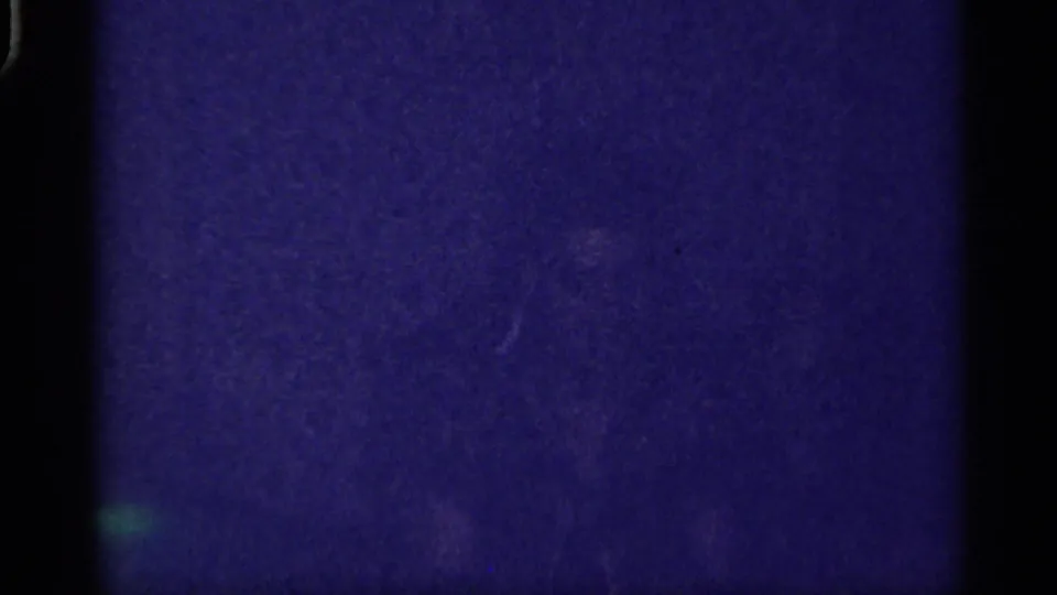 Blue-tinted 1959 home-movie frame showing a mostly dark living room view with faint interior shapes.