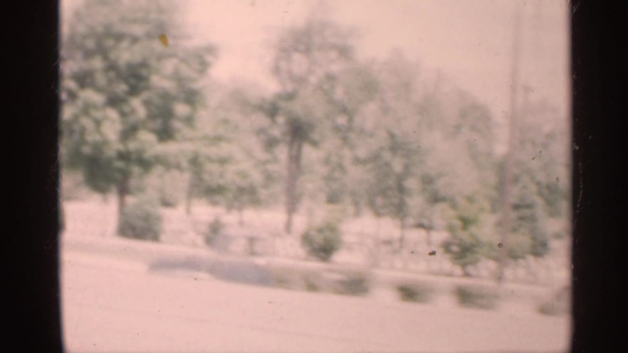 1959 Indiana 8mm frame looking through a dark car-window divider toward a washed-out tree-lined street or roadside.
