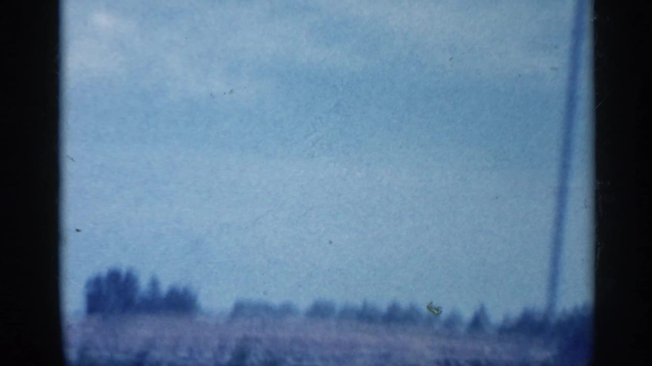 Soft roadside view of fields and distant trees under a pale sky.