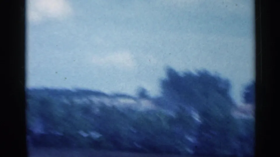 Blue-tinted 8mm frame of roadside brush and trees rushing past during a rural Indiana drive.