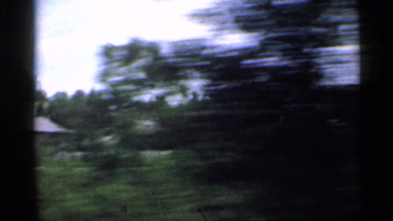 Blurred trees and roadside greenery passing a car window.