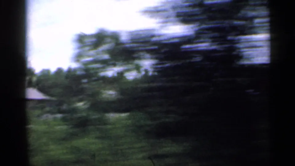 1959 Indiana home-movie frame showing motion-blurred roadside trees and green vegetation filmed from a moving car.
