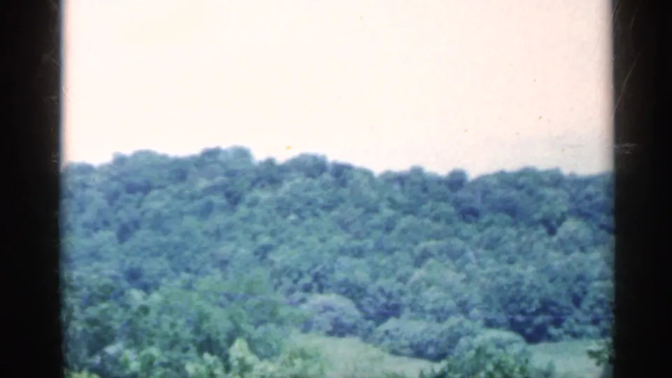 1959 Indiana rural landscape frame showing a wooded green hillside and pale sky from a moving car perspective.