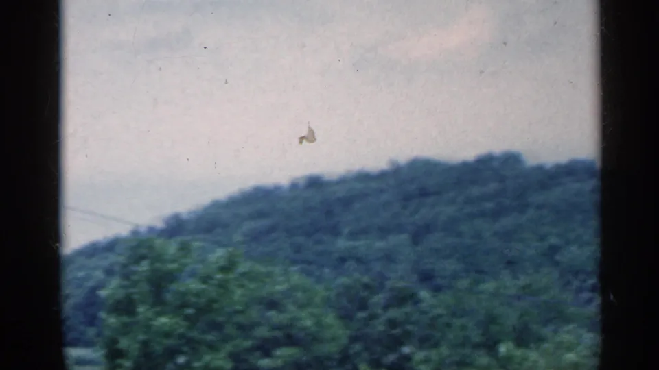 1959 Indiana home-movie view of a forested hill with a foreground tree and pale sky, filmed from a moving car.