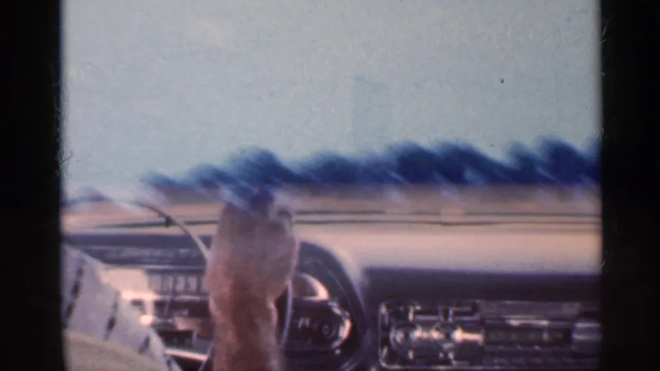 Inside the moving car, the dashboard and windshield frame a blurred rural roadside, with trees streaking past in soft 8mm color.