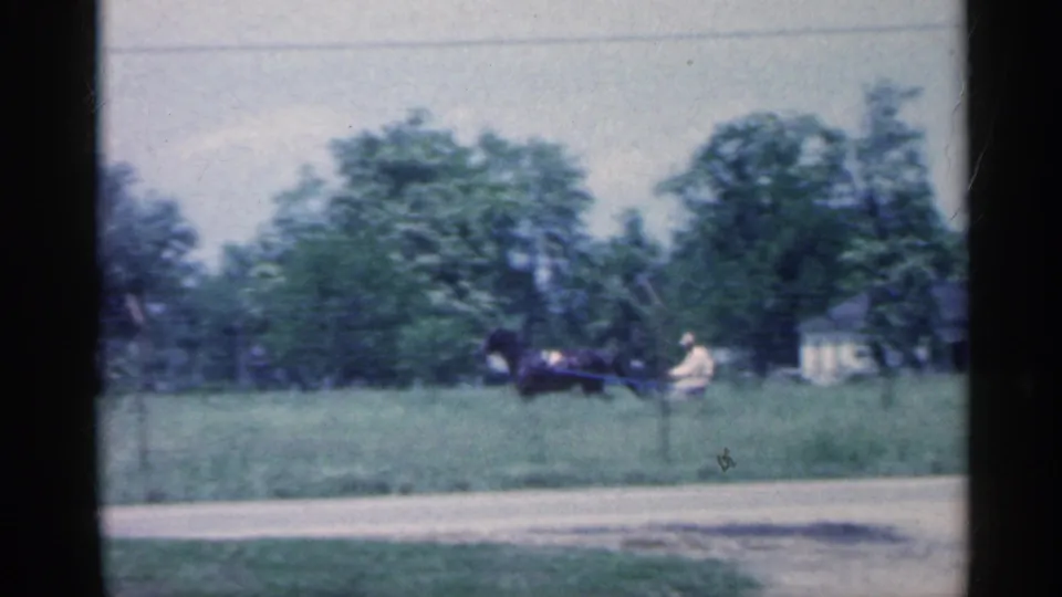 The driver and horse-drawn carriage are seen more clearly crossing the field, with trees, road edge, and rural houses nearby.