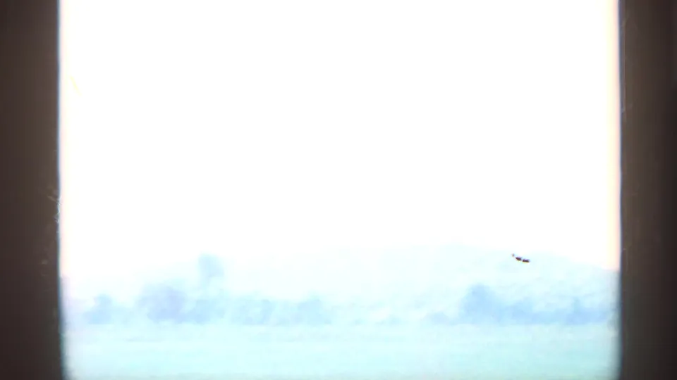 Final 8mm frame from the 1959 Indiana clip, showing a washed-out rural horizon after the truck has left view.
