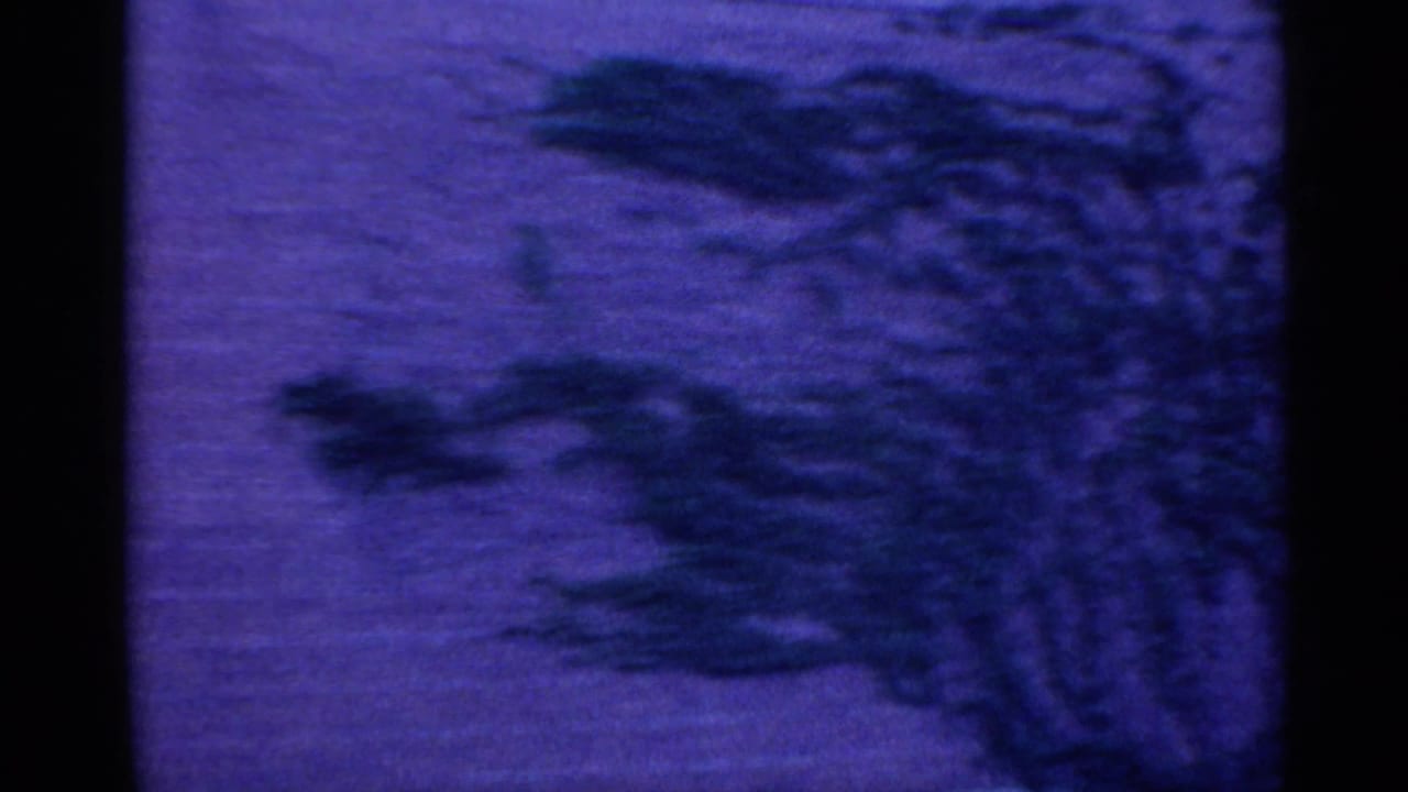 Blue-purple 8mm frame showing blurred roadside trees or shrubs, suggesting movement from inside a vehicle in Indiana.