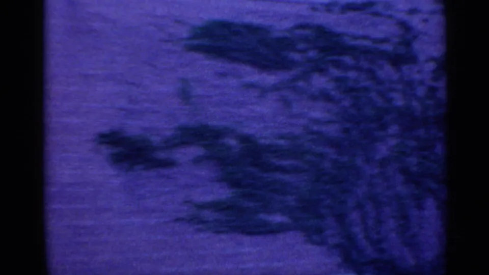 Blue-purple 8mm frame showing blurred roadside trees or shrubs, suggesting movement from inside a vehicle in Indiana.