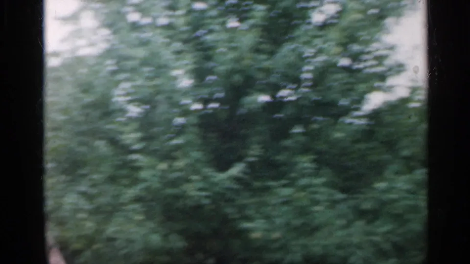 Dense backyard foliage fills the frame, with a dark indistinct shape partly visible in soft 8mm motion blur.