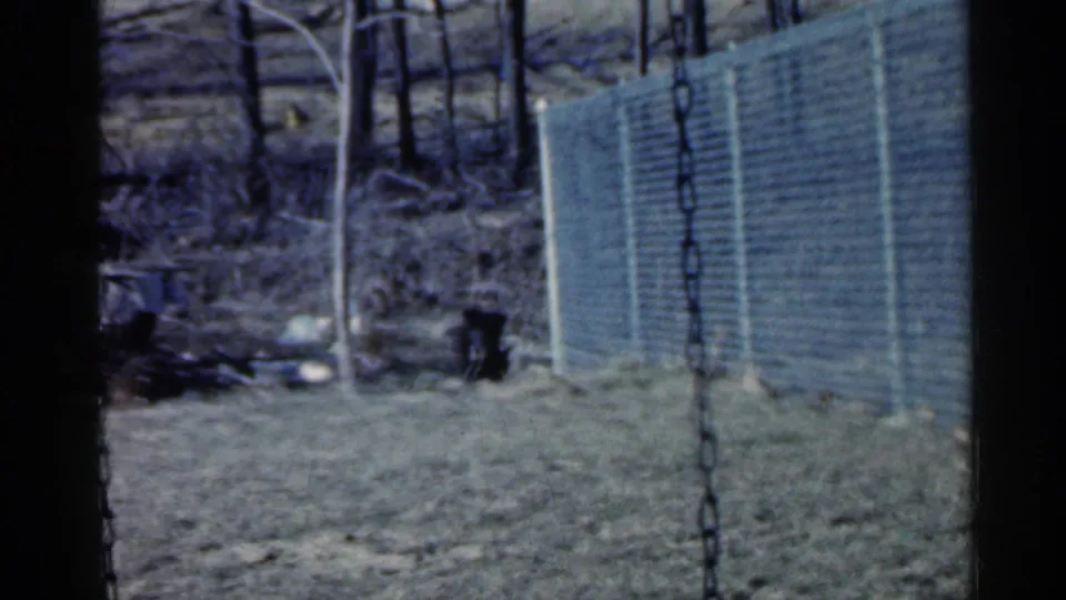 1959 Indiana home-movie frame with a black dog near fencing and a hanging chain swing in a yard.