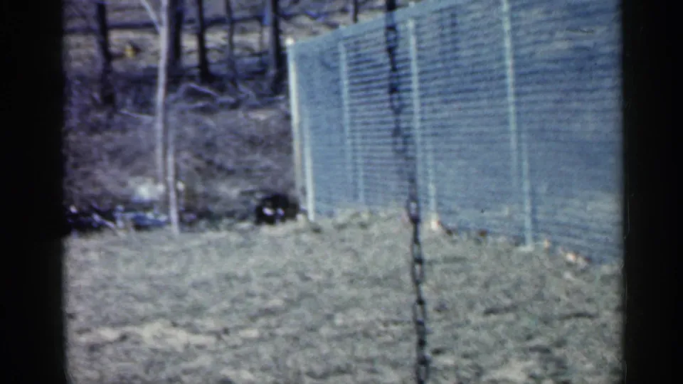 1959 Indiana 8mm frame showing a grassy fenced yard, bare trees, a hanging swing chain, and a small dark animal near the chain-link fence.