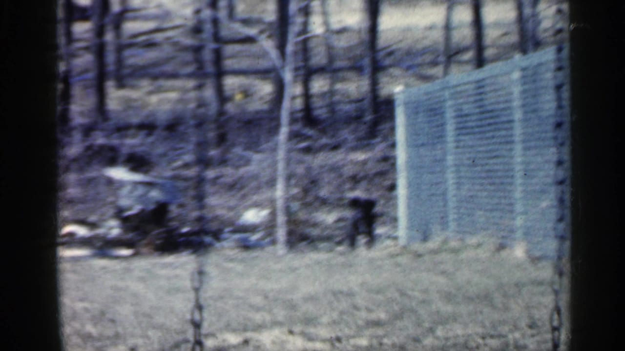 1959 Indiana 8mm frame of a fenced yard with bare trees and a small dark animal standing near the chain-link fence.