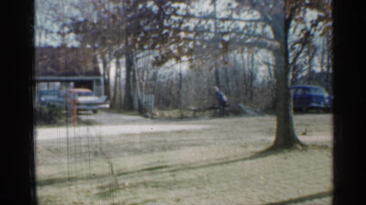 House and garage seen through a window, with parked cars, bare trees, lawn, and a distant person outside.
