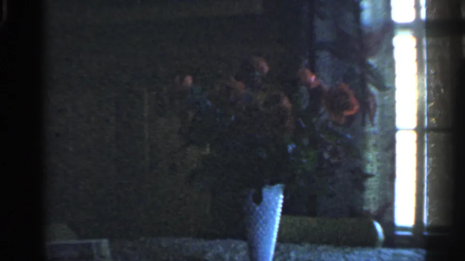 Shadowed home interior with flowers near bright window light, with indistinct human figures possibly present in the darkness.