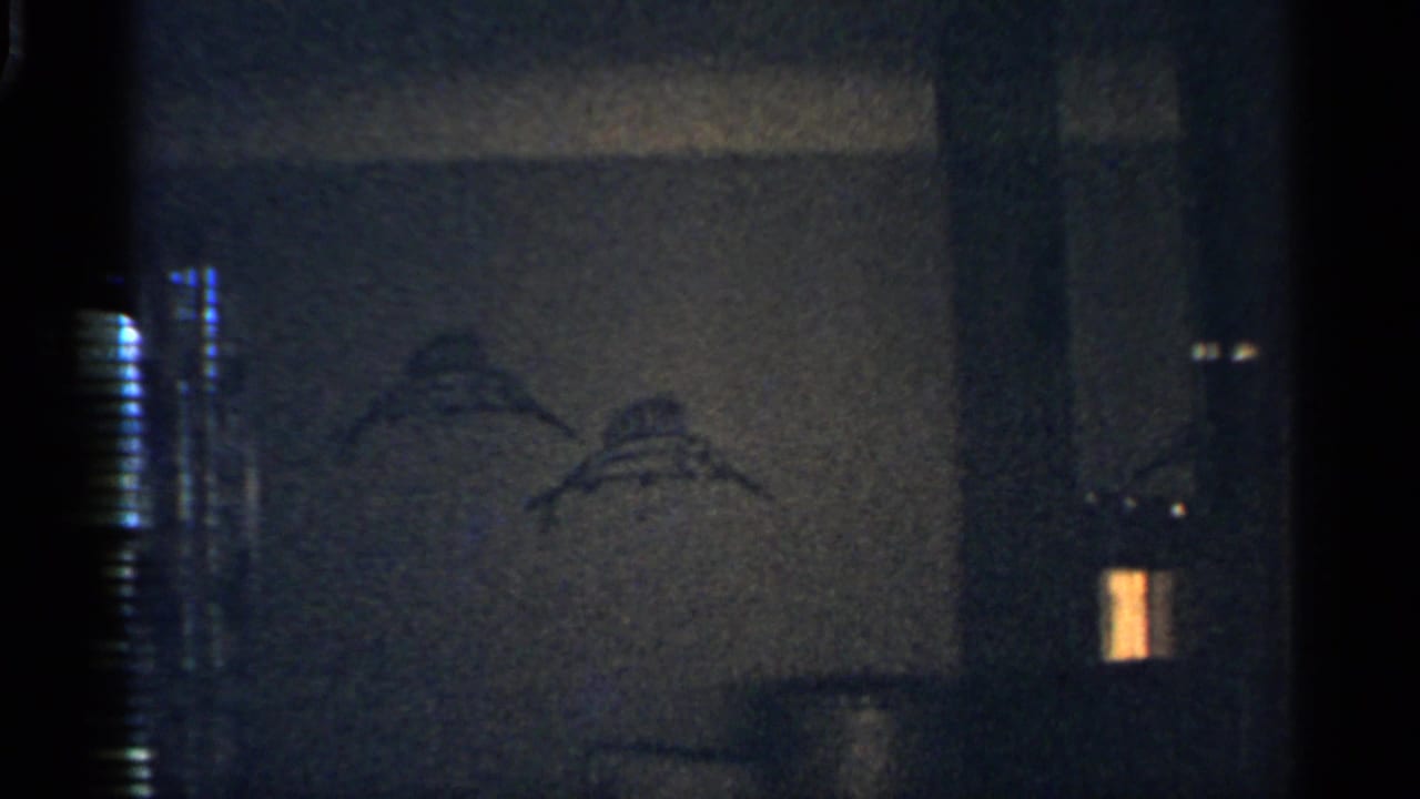 1959 Indiana home-movie frame showing a dark bedroom wall, venetian blinds, and bird-like wall decoration in low light.