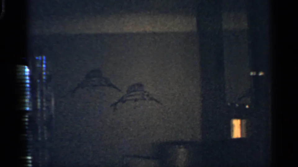 1959 Indiana home-movie frame showing a dark bedroom wall, venetian blinds, and bird-like wall decoration in low light.