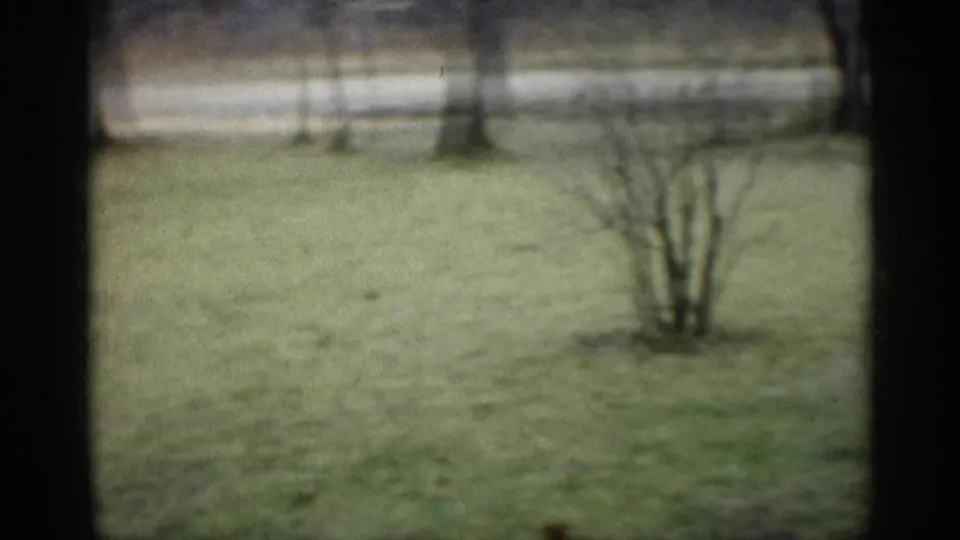 1959 Indiana home-movie frame showing a grassy yard, bare trees, and low shrubs in soft focus.
