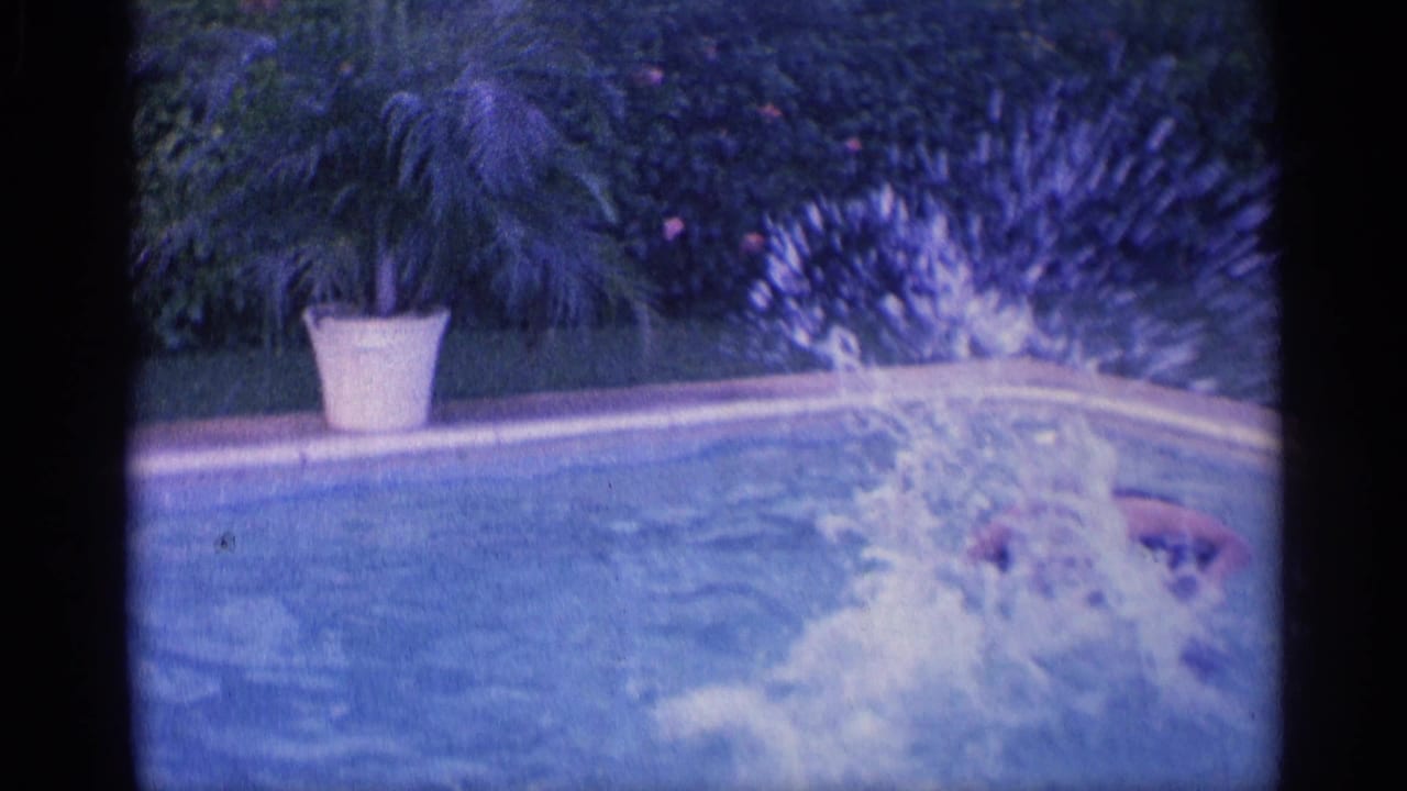 A swimmer splashes into the pool near shrubs and a potted plant.