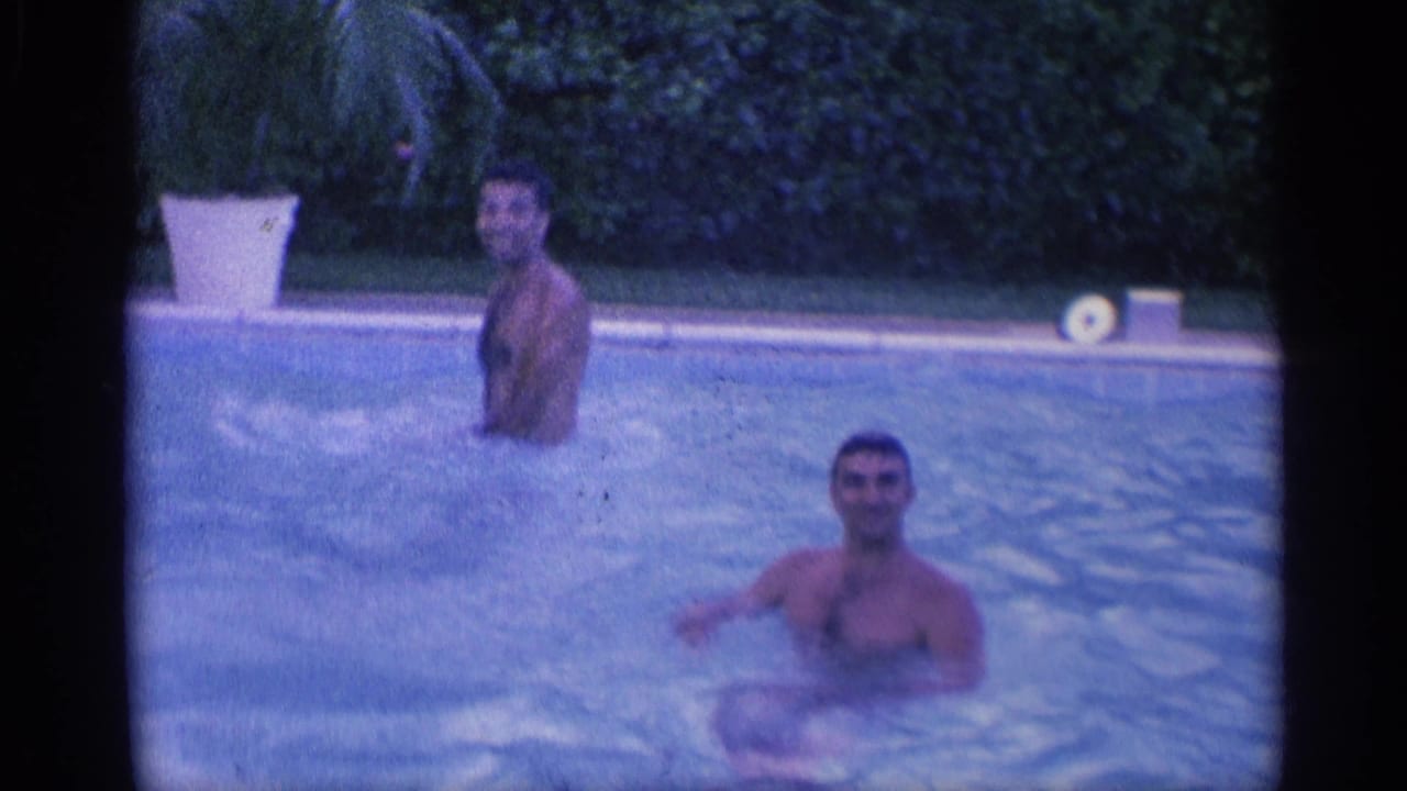 Two swimmers in a backyard pool with hedge and white planter behind them.