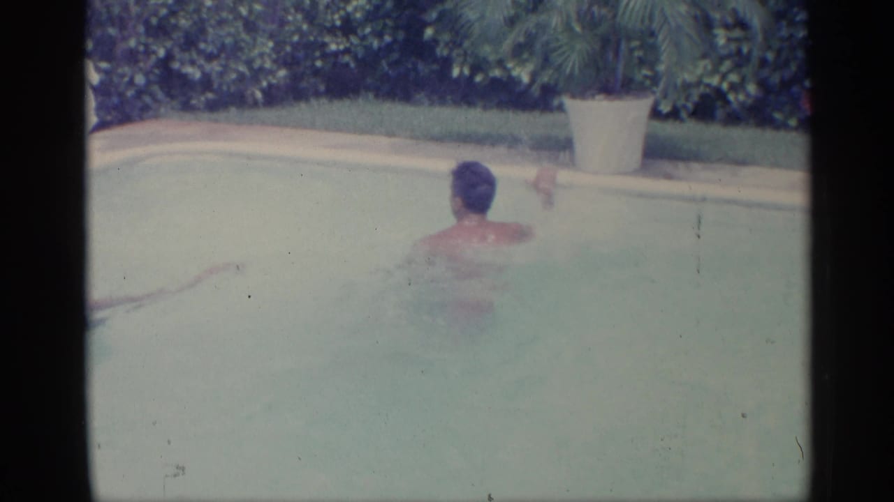 Swimmer seen from behind in a backyard pool near a hedge and potted plant.