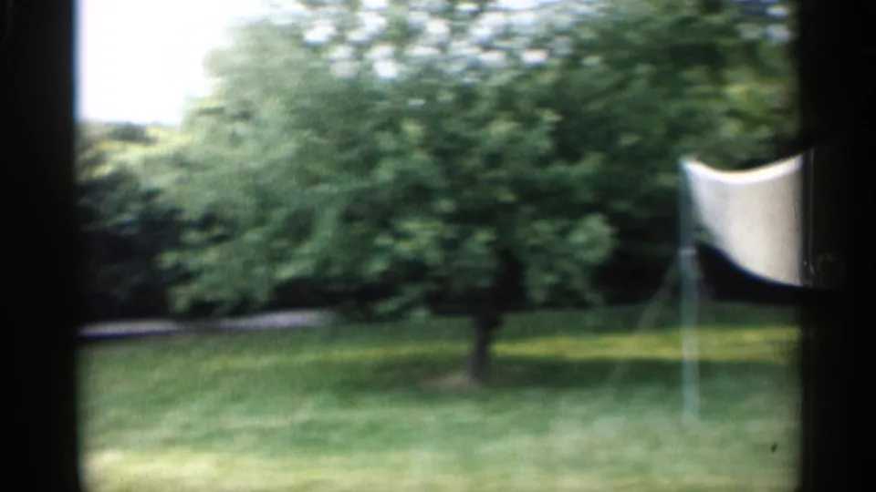The frame shows a quiet Indiana backyard with grass, shrubs, trees, and a partial white object at the right edge.